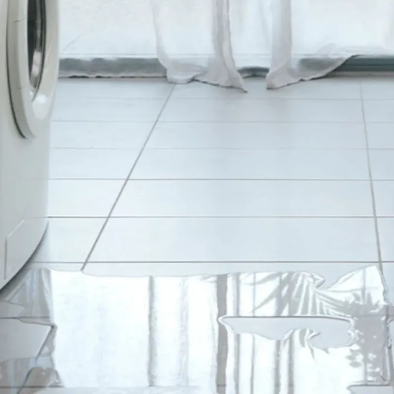 Appliance Leak Cleanup in Lapeer County, MI