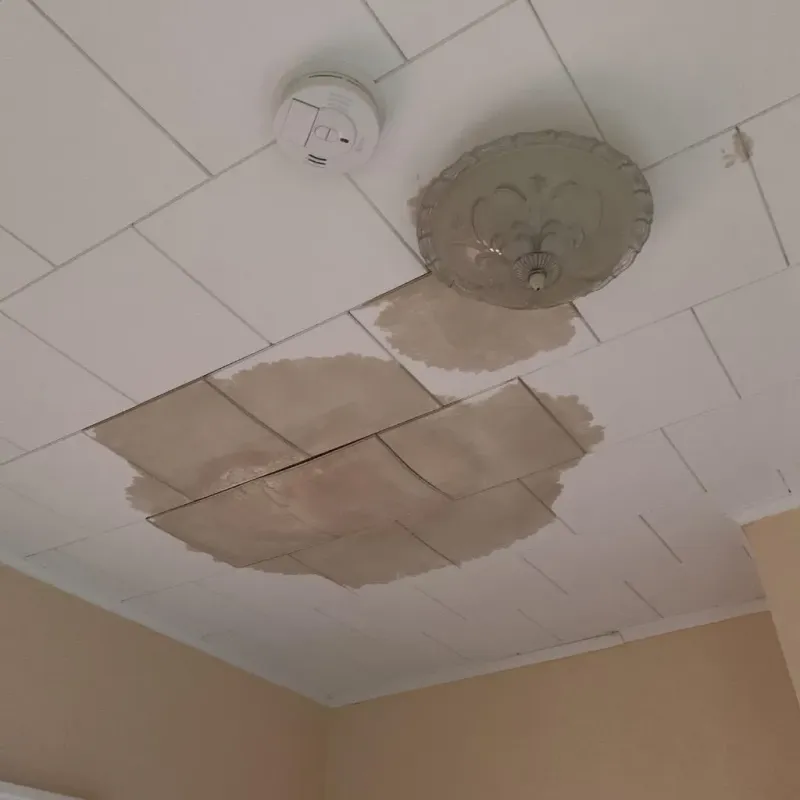 Ceiling Water Damage Repair in Lapeer County, MI