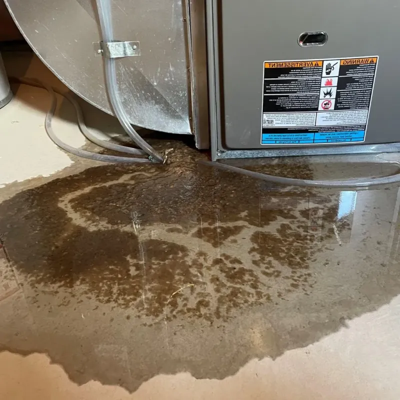 Pipe Burst and Leak Restoration in Lapeer County, MI