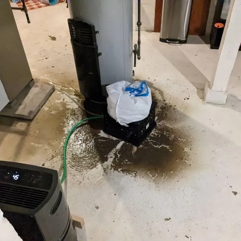 Sewage Backup Cleanup Service in Lapeer County, MI
